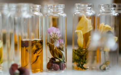 Dlaczego warto wybrać perfumy botaniczne? Poznaj zalety naturalnych kompozycji zapachowych