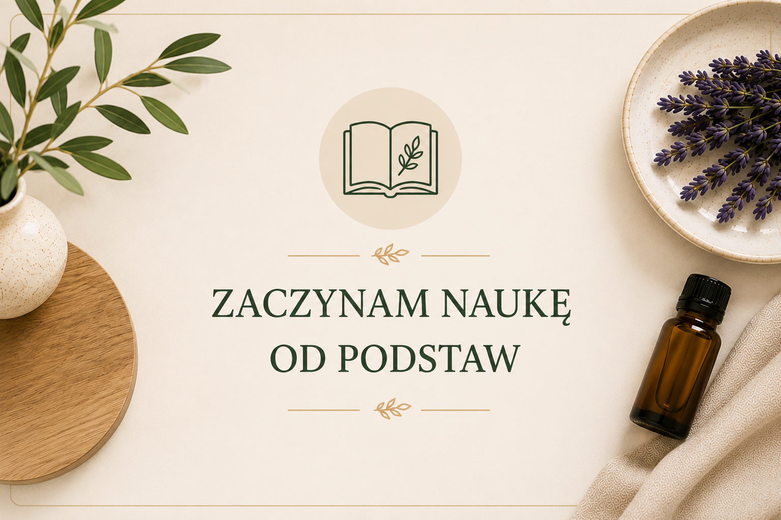 zaczynam naukę